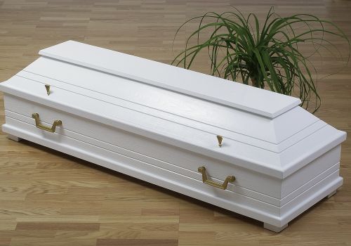 160 CM WEI B0 4/4 GOL